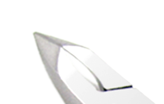 EICS-SG head